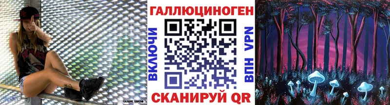 Галлюциногенные грибы Psilocybe Сертолово