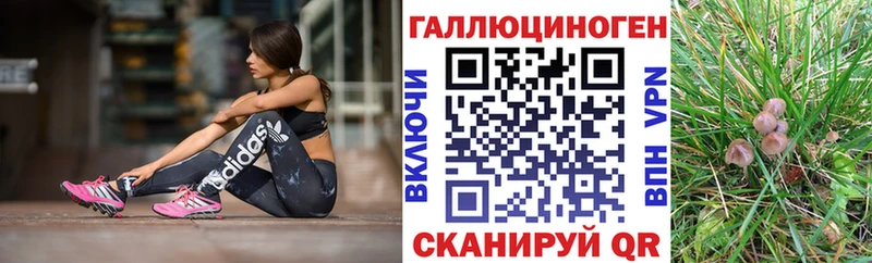 Галлюциногенные грибы GOLDEN TEACHER  Сертолово 