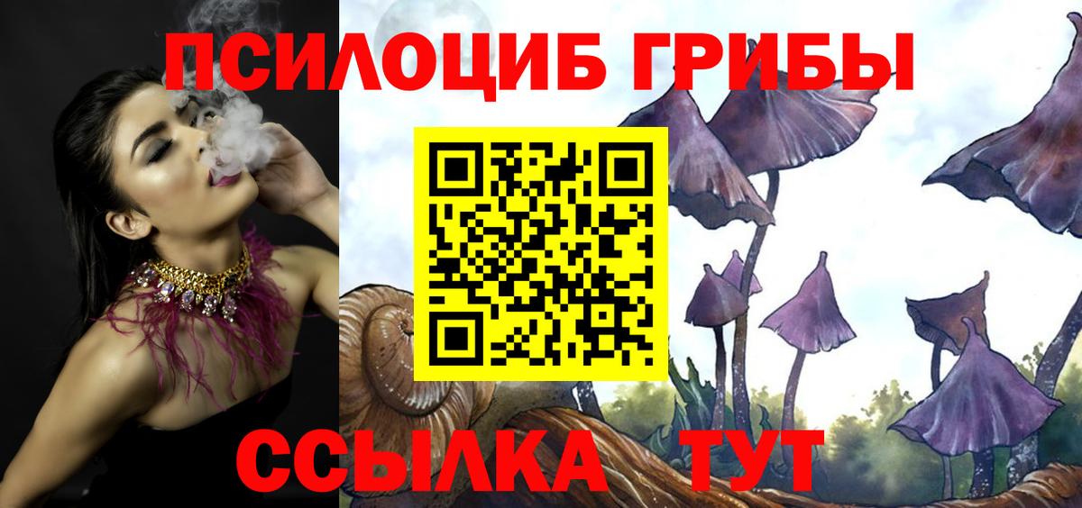 Сертолово  цены   Вход с VPN  Псилоцибиновые грибы мицелий 