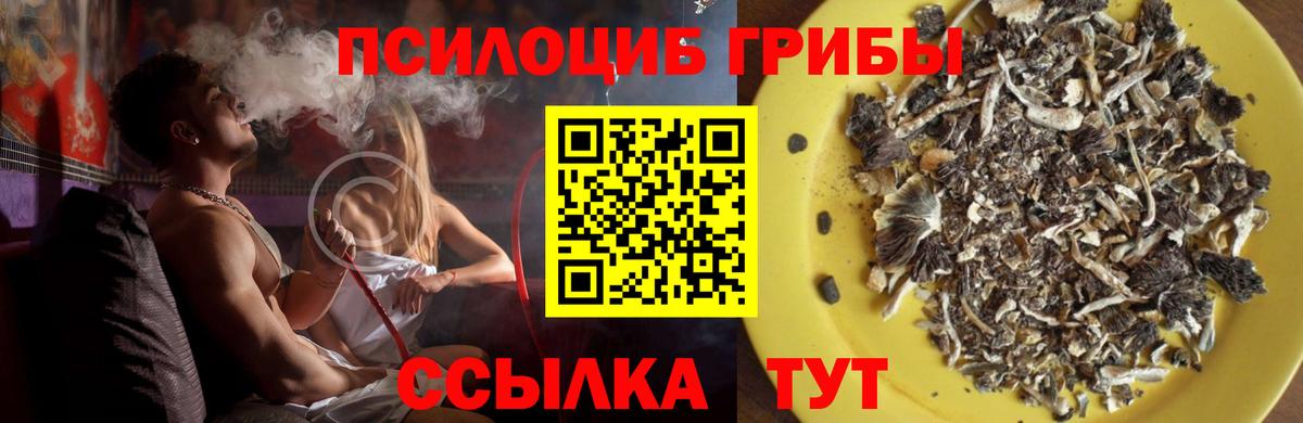 Псилоцибиновые грибы прущие грибы Сертолово